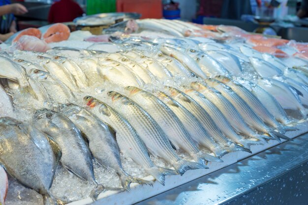 Gemischter frischer Fisch in Thailand-Markt als mulet Fisch.