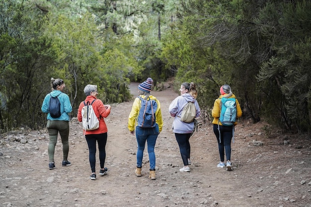 Gemischtrassige Frauen, die während des Trekkingtages im Bergwald Spaß haben