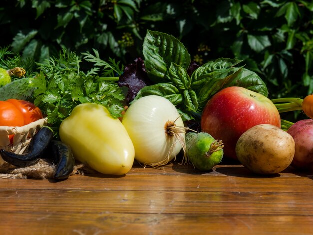 Gemüse auf einem Holztisch. Bio Gesundes Essen, Kräuter und Gemüse aus Farmplantagen.