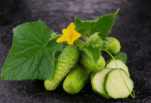 Gemüse gurken und gurken blumen und blätter auf schwarzem hintergrund closeup