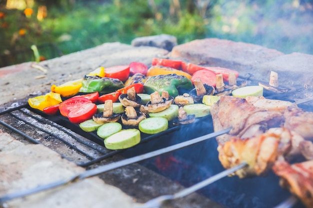 Gemüse und Fleisch vom Grill. Paprika, Tomaten, Champignons und Zucchinikürbis. Huhn auf offenem Feuer. Sommerliche Grillparty. Gesundes natürliches Essen.