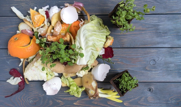 Gemüse- und Obstabfälle aus dem Kochen und ein Torftopf mit Sämlingen Kompost Das Konzept von Zero Waste