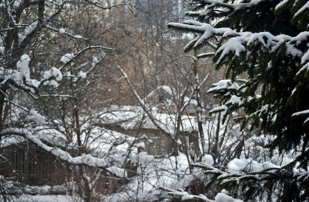 Gemüsegarten in der Nähe des Hauses im Schnee