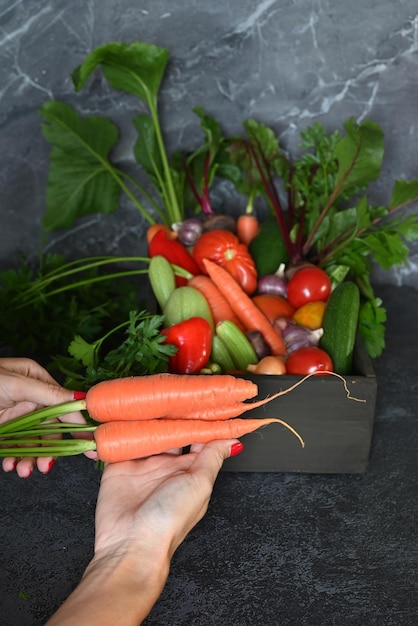 Gemüsepflanzen in der Schublade, Lebensmittel-Nahaufnahme, Schublade, Lebensmittel-Nahaufnahme
