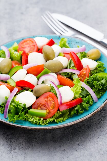 Gemüsesalat mit Mozzarella, Tomaten, Gewürzen