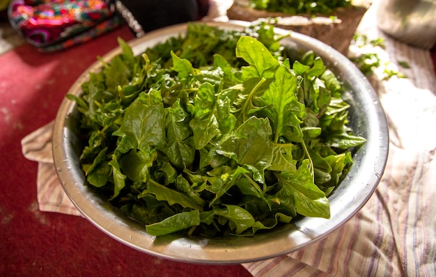 Gemüsespinatblätter für Salat