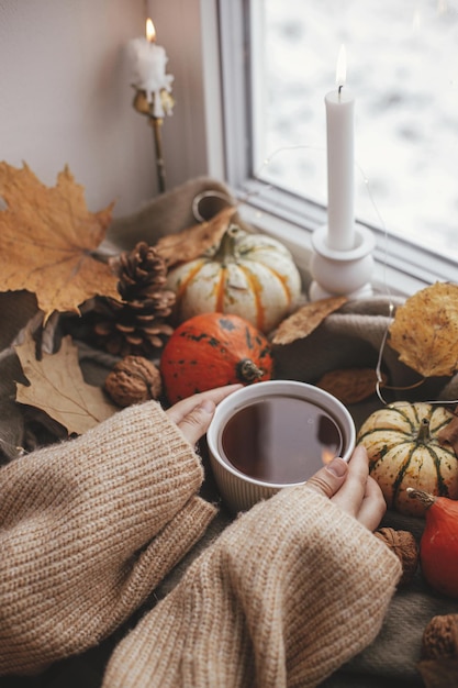 Gemütliche Herbsthände im Pullover halten eine warme Tasse Tee mit stilvollen Kürbissen, Herbstlaublichter auf braunem Schal auf der Fensterbank, Herbst-Hygge-Herbst-Wohndekoration, frohes Erntedankfest