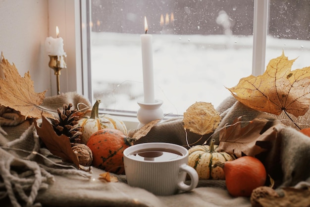 Gemütlicher Herbst, warme Tasse Tee, Kürbisse, Herbstblätter, Kerzenlichter auf einem bequemen braunen Schal auf der Fensterbank, frohes Erntedankfest, Herbst-Hygge-Heimdekoration im Herbst