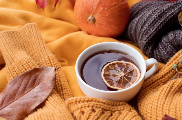 Gemütlicher Herbstkompositionspullover Wetter Kürbisse heißer Tee und Pullover am Fenster