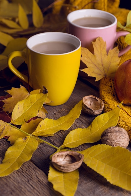 Gemütlicher Herbsttee - Tee mit Milch, Äpfeln, Nüssen und einem warmen Pullover