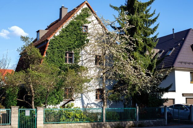 Foto gemütliches wohnhaus mit weinrebe in einem privaten sektor mit traditionellem europäischem landcharme
