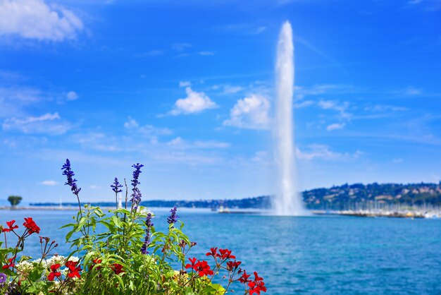 Genebra Geneve lago água Jet D&#39;eau Suíça