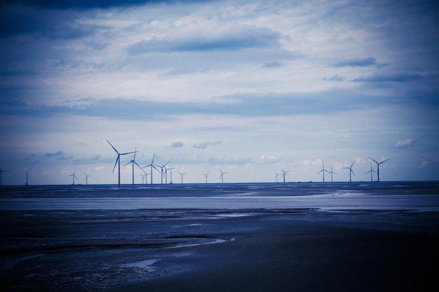 Generación de energía eólica en la playa