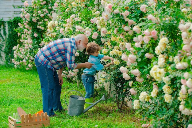 Generación Hombre mayor con nieto jardinería en el jardín Retrato de abuelo y nieto mientras trabajaba en el jardín de flores Papá enseñando plantas de cuidado de hijo pequeño Abuelo