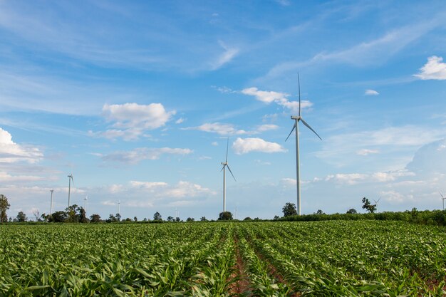 Generador de energía de granja de turbina eólica en un hermoso paisaje natural para la producción de energía verde renovable.