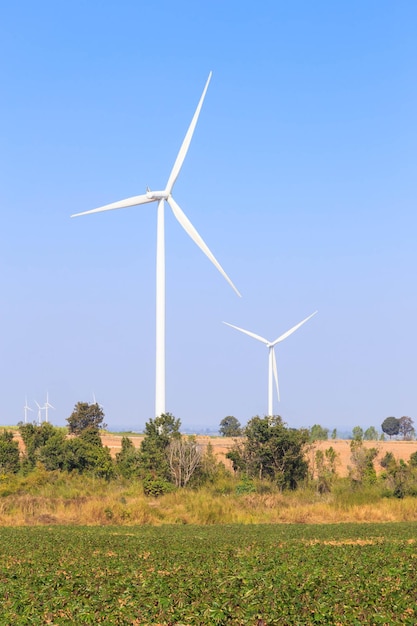 generador de energía de la turbina de viento