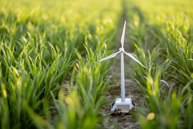 Generador de viento de juguete en campo verde