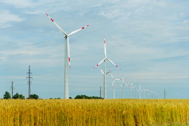 Generadores de viento en un campo de trigo Ecología Ingeniería energética Verano 2022 Energía alternativa