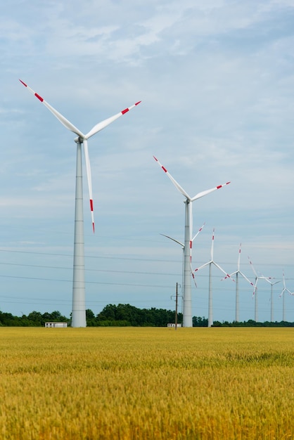 Generadores de viento en un campo de trigo Ecología Ingeniería energética Verano 2022 Energía alternativa