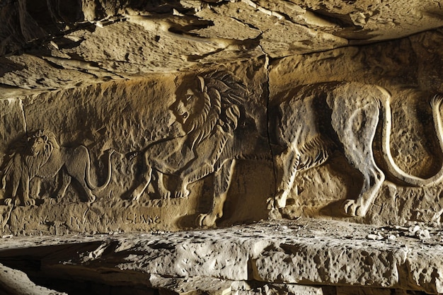 Generar un retrato evocador de la cueva santuario generativo ai