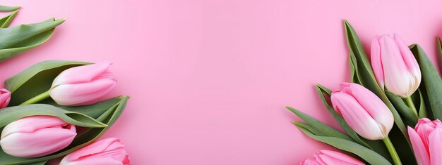 Generative AI Pink Holiday Banner Blumenstrauß aus rosa Tulpen auf rosa Hintergrund Muttertag