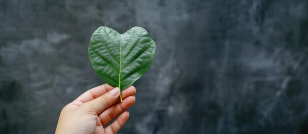 Generative KI grüne Herzform Pflanzenblatt in der Hand erneuerbare und nachhaltige Ressourcen