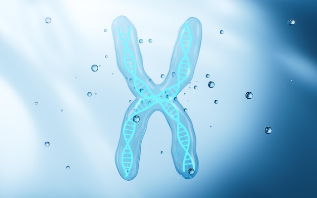 Los genes y los cromosomas humanos en 3D
