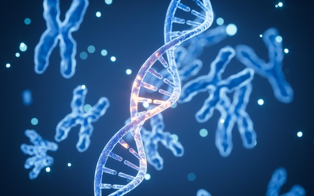 Los genes y los cromosomas humanos en 3D