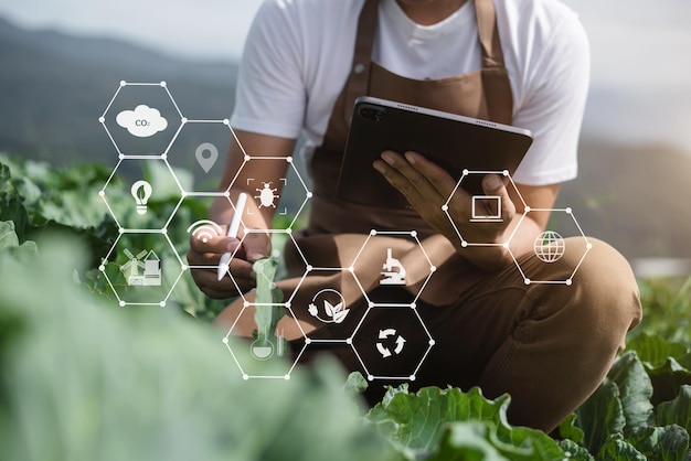 Foto genetistas, biólogos y científicos están estudiando la estructura genética de las verduras.