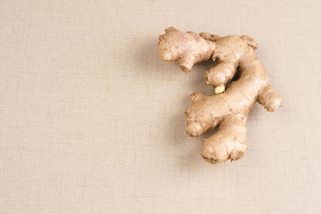 Gengibre fresco Zingiber officinale ou Jahe uma planta cujos rizomas são frequentemente usados como especiarias