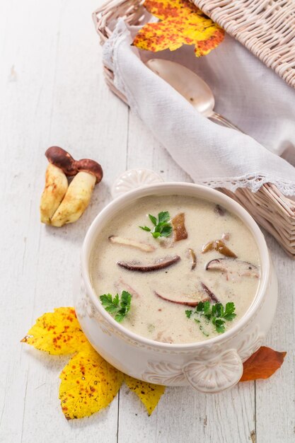 Genießen Sie Ihre Pilzsuppe aus Edelpilzen