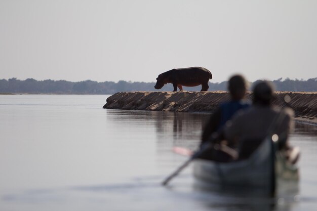 Gente en barco en el lago contra el cielo