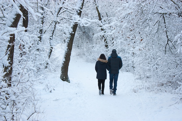 La gente camina en el bosque en el invierno