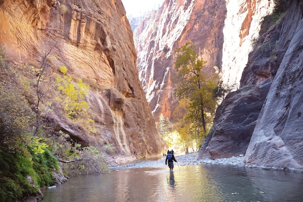 La gente camina en el estrecho de Sion con Virgin River, el Parque Nacional de Zion, Utah, Estados Unidos.