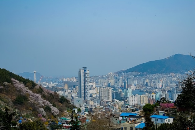 La gente camina en el Festival Jinhae Gunhangje en Busan, Corea.