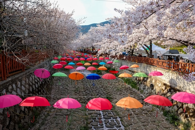 La gente camina en el Festival Jinhae Gunhangje en Busan, Corea.