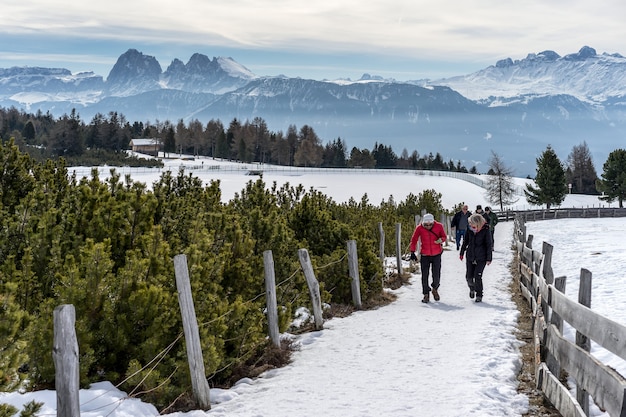 La gente caminando en el Alp en pastos Rinderplatz en Tirol del Sur, Italia