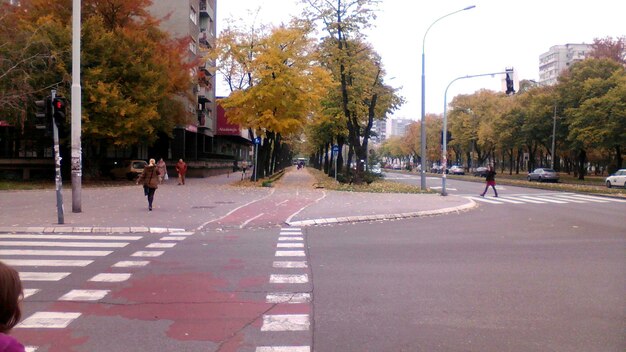 Foto gente caminando por la carretera en la ciudad