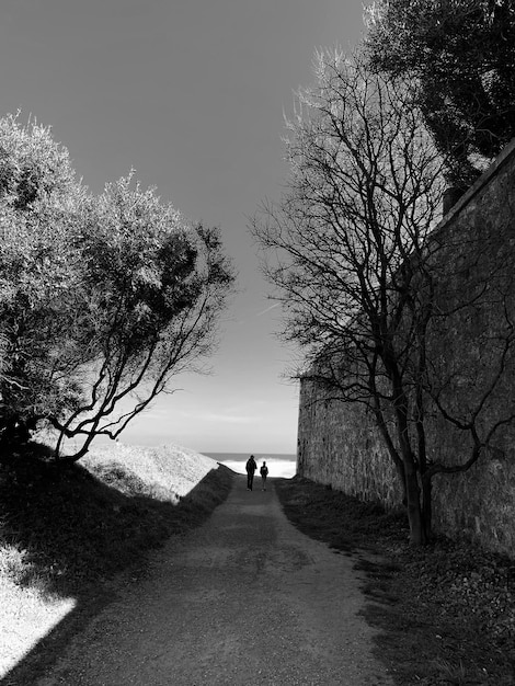 Foto la gente caminando por la carretera en medio de los árboles contra el cielo