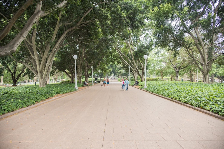 Foto gente caminando por la carretera en medio de los árboles en el parque