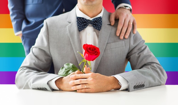 gente, celebración, homosexualidad, matrimonio entre personas del mismo sexo y concepto de amor - cierre de una pareja gay masculina con flor de rosa roja poniendo la mano en el hombro sobre el fondo de la bandera del arco iris