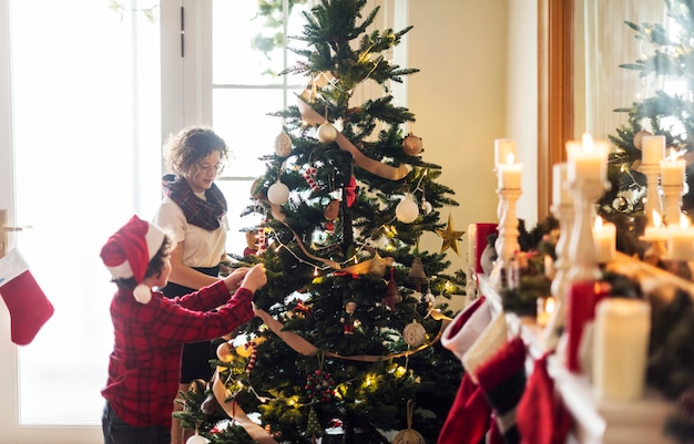 Gente, decorar, árbol de navidad