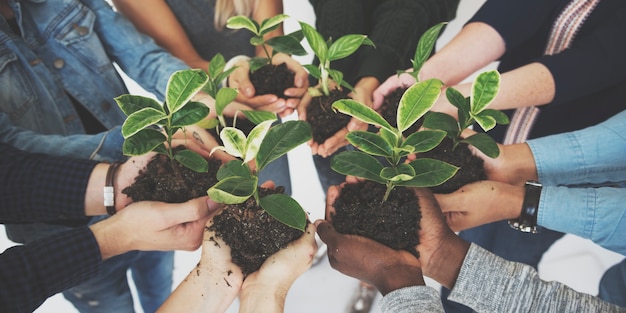 Gente diversa Manos Sostener Plantas Naturaleza