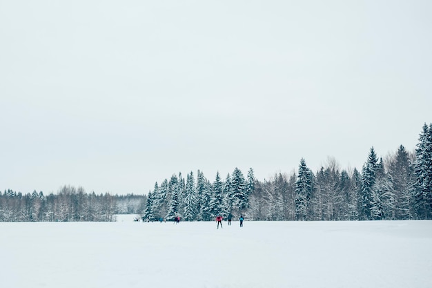 Gente esquiando en el bosque de invierno
