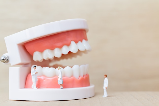 Gente en miniatura: dentista y enfermera observando y discutiendo sobre dientes humanos con encías y esmalte