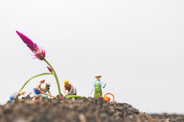 Gente en miniatura, jardineros cuidan las plantas que crecen en el campo.