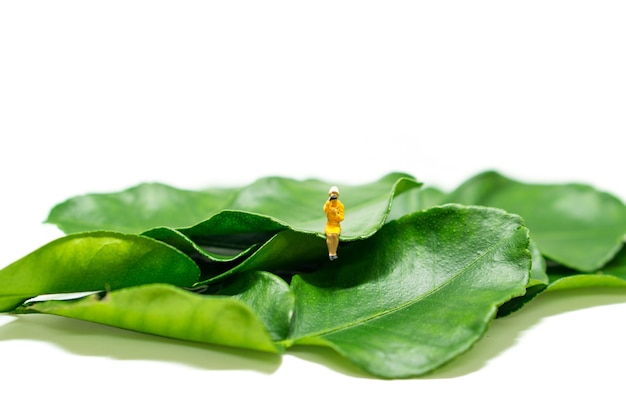 Gente miniatura mujer sentada en la hoja de bergamota