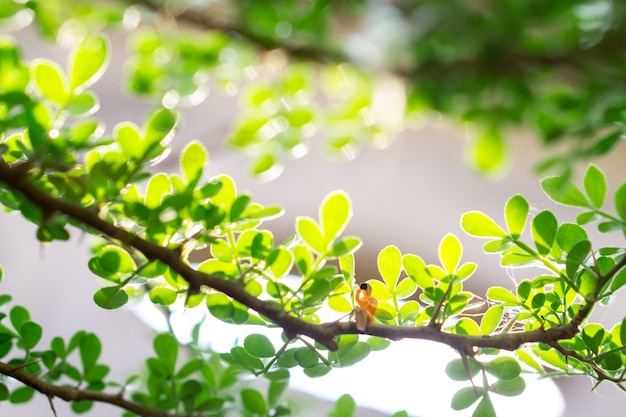 Gente miniatura mujer sentada en la planta de naturaleza verde