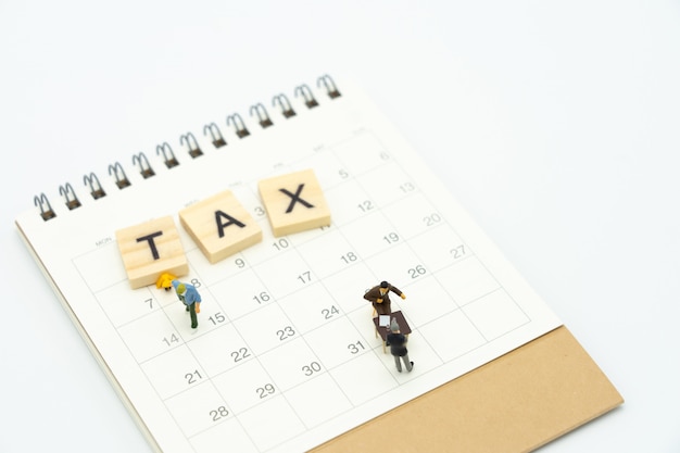 Gente en miniatura Pagar en la cola Ingreso anual (TAX) para el año en el calendario.