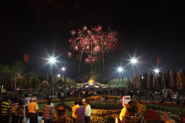 La gente mirando los fuegos artificiales por la noche